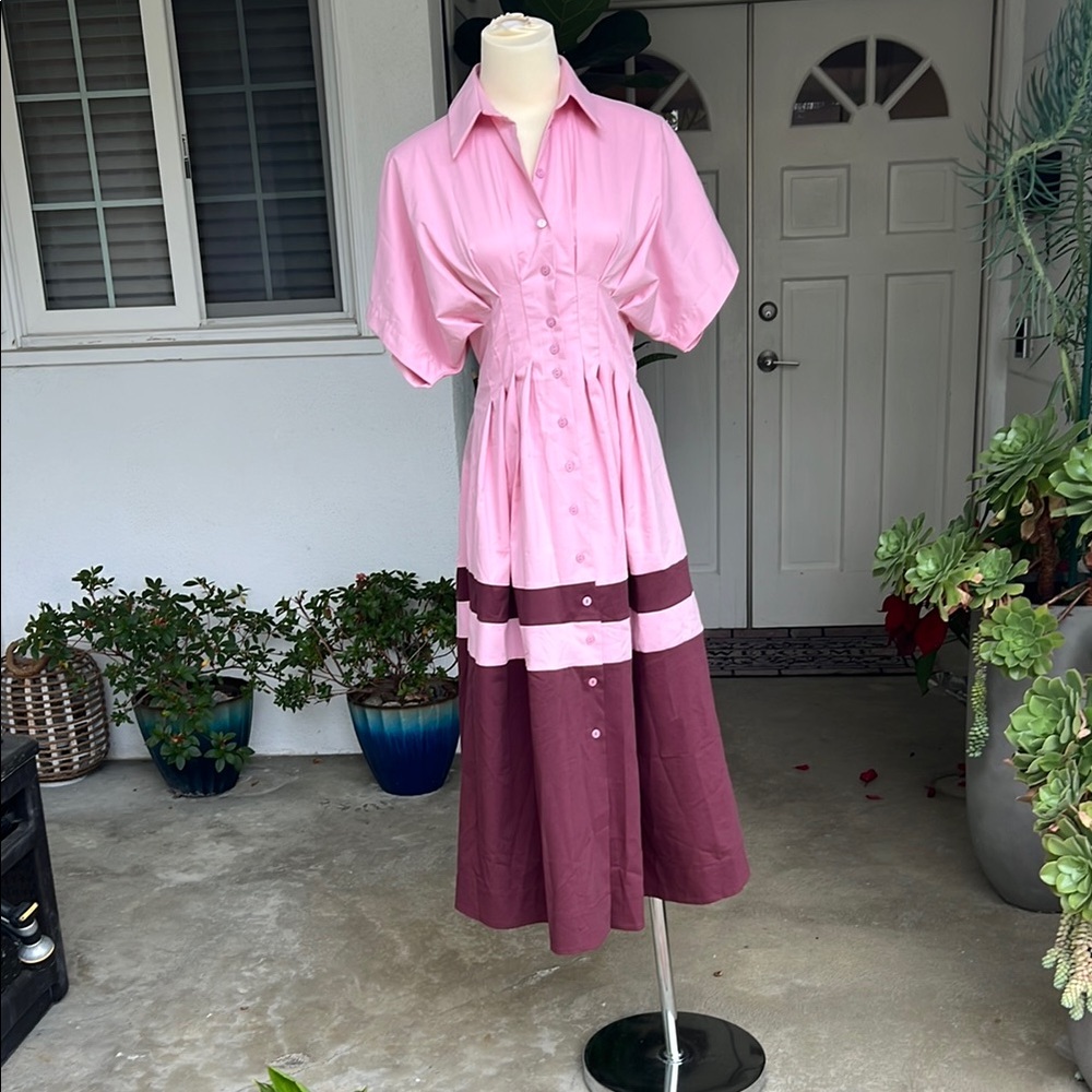 Exquise Tobie Button Front Pleated Dress